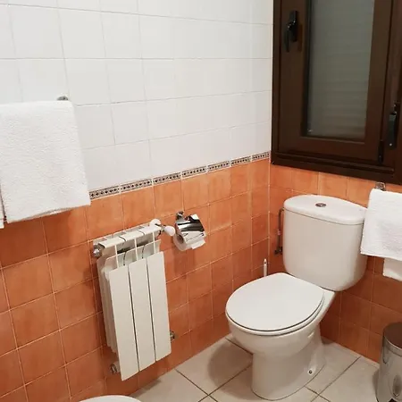 Alina 坎加斯德尔纳尔塞亚