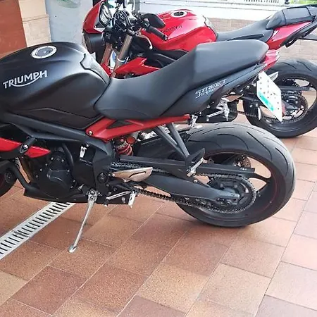 Alina 坎加斯德尔纳尔塞亚