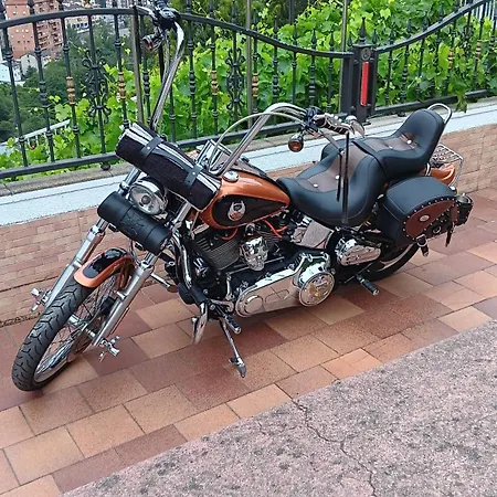 Alina فندق كانجاس ديل نارسيا