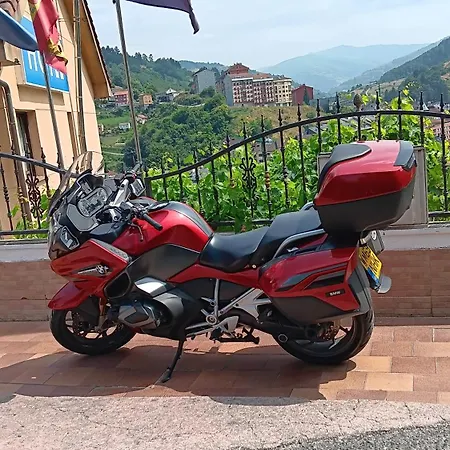 Alina 坎加斯德尔纳尔塞亚