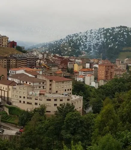 Alina فندق كانجاس ديل نارسيا