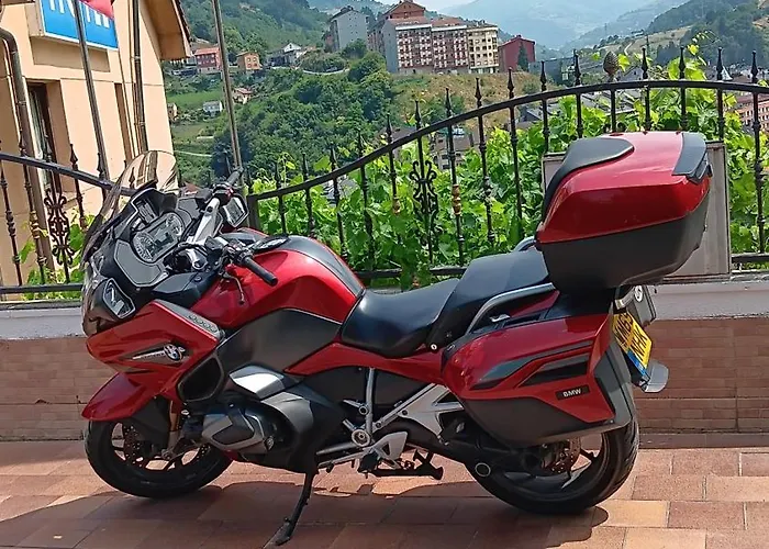 Alina كانجاس ديل نارسيا